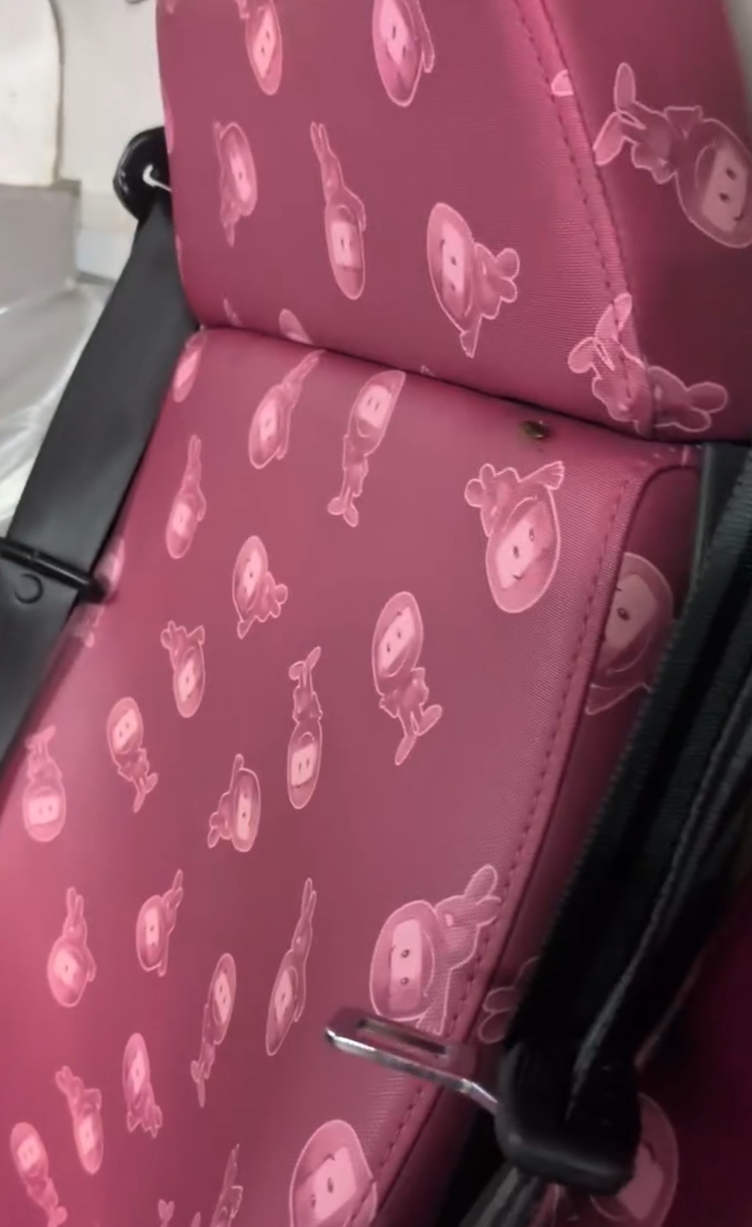 乘客欲扣帶竟「嘈醒小強」 粉紅色座椅縫隙藏危機