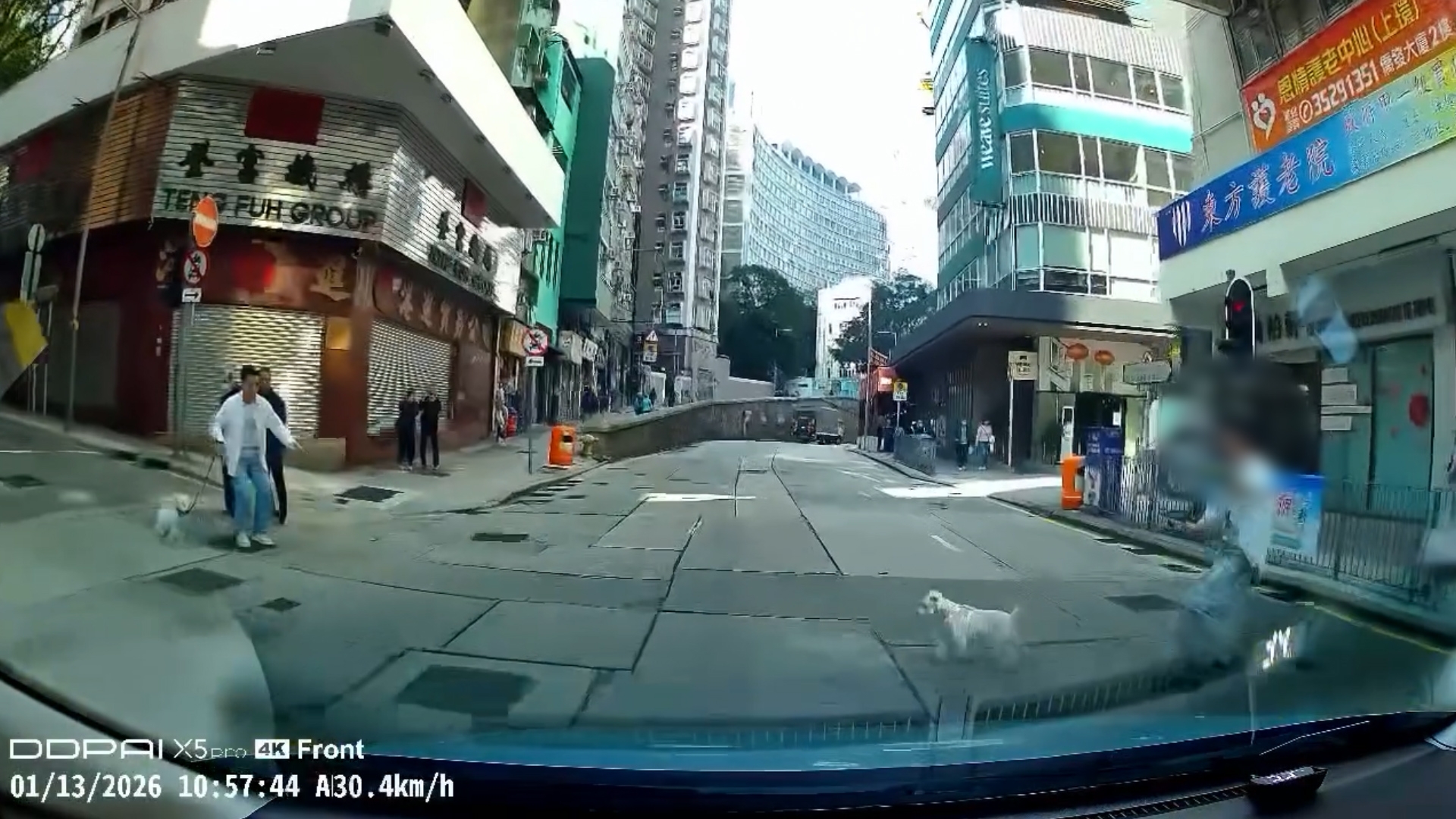 車Cam直擊｜上環街坊放狗無落狗繩　狗狗衝馬路險被撞　網民：害人又害狗