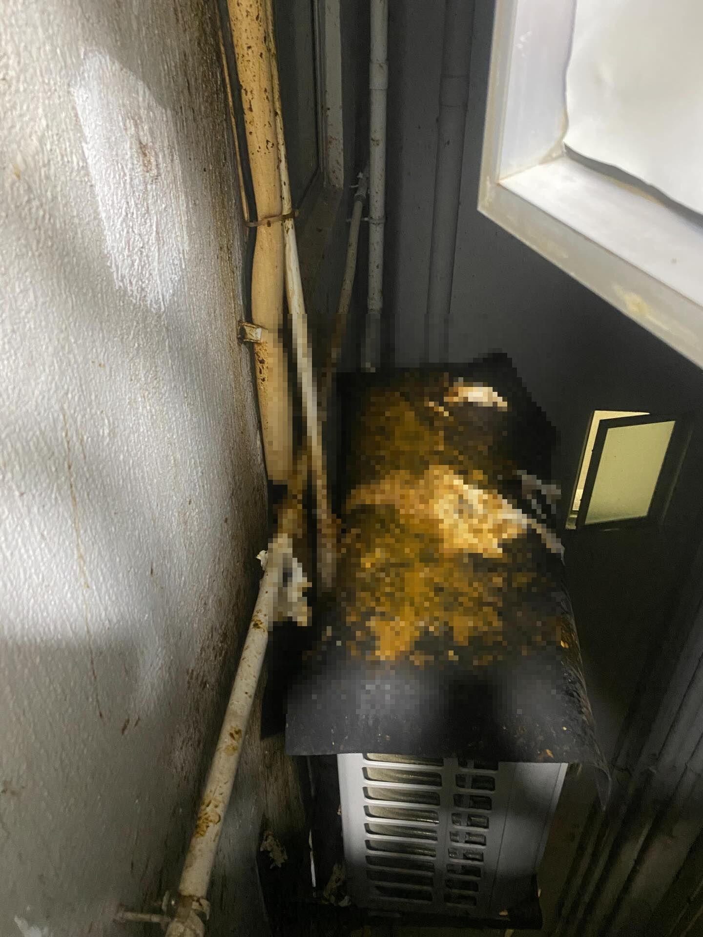 私樓港女疑遭樓上鄰居「掟屎」　網上發文求救：好崩潰