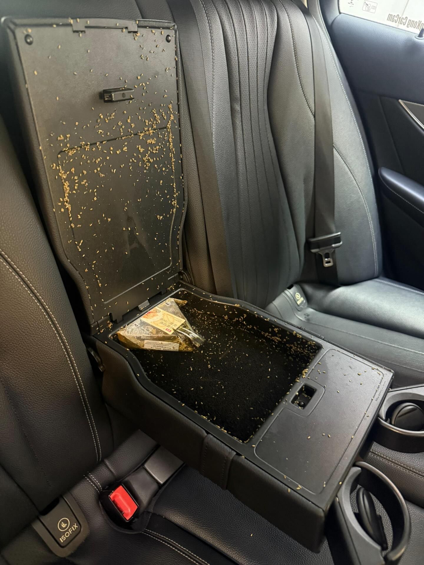 港私家車內布滿「恐怖蛆蟲」嚇親人