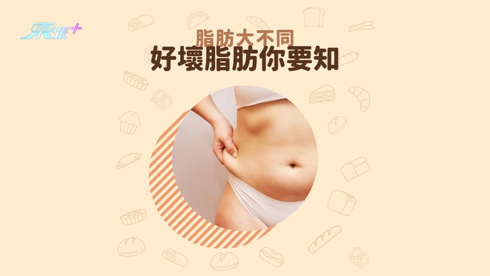 脂肪大不同 好壞脂肪你要知 #至識健康
