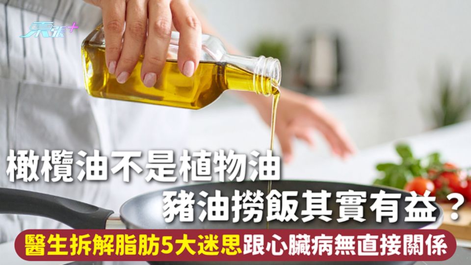脂肪 | 橄欖油不是植物油 豬油撈飯其實有益？醫生拆解脂肪5大迷思 跟心臟病無直接關係