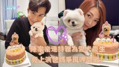 陳家樂連詩雅為愛犬慶生 竟上演爸媽爭風呷醋戰！