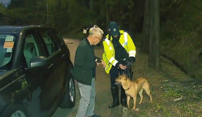 火炭Tesla男司機涉醉駕自炒惹車禍