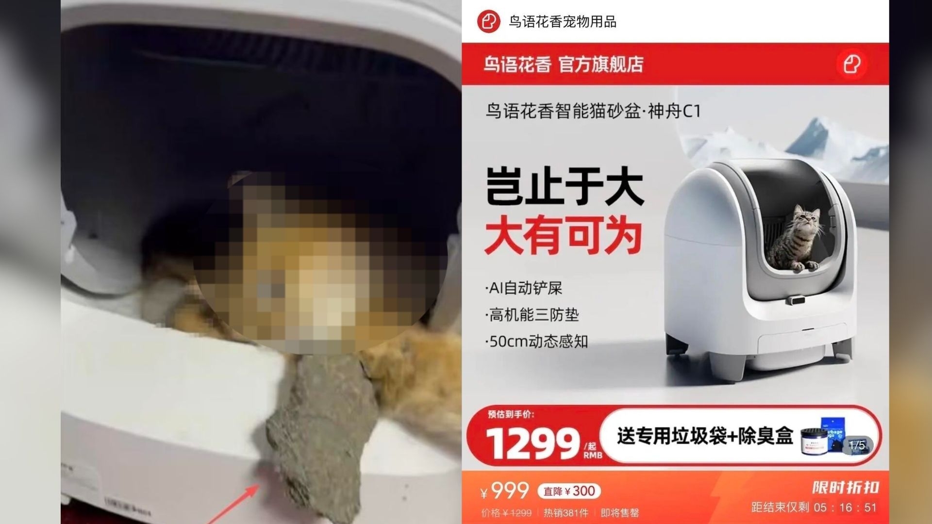 飼主透過監控畫面發現，貓咪前肢懸空，結團貓砂附着其上