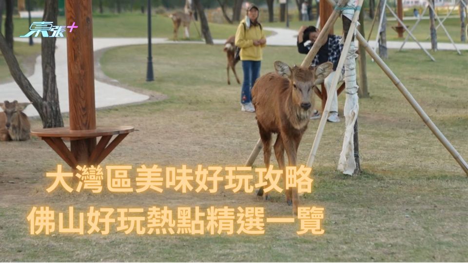 大灣區美味好玩攻略｜佛山好玩熱點精選一覽 
