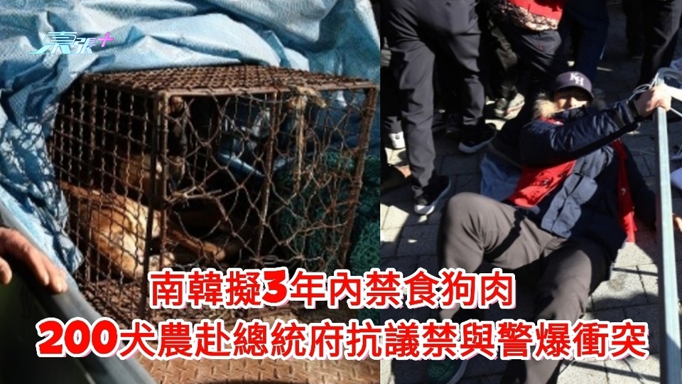 南韓擬3年內禁食狗肉  200犬農赴總統府抗議禁與警爆衝突