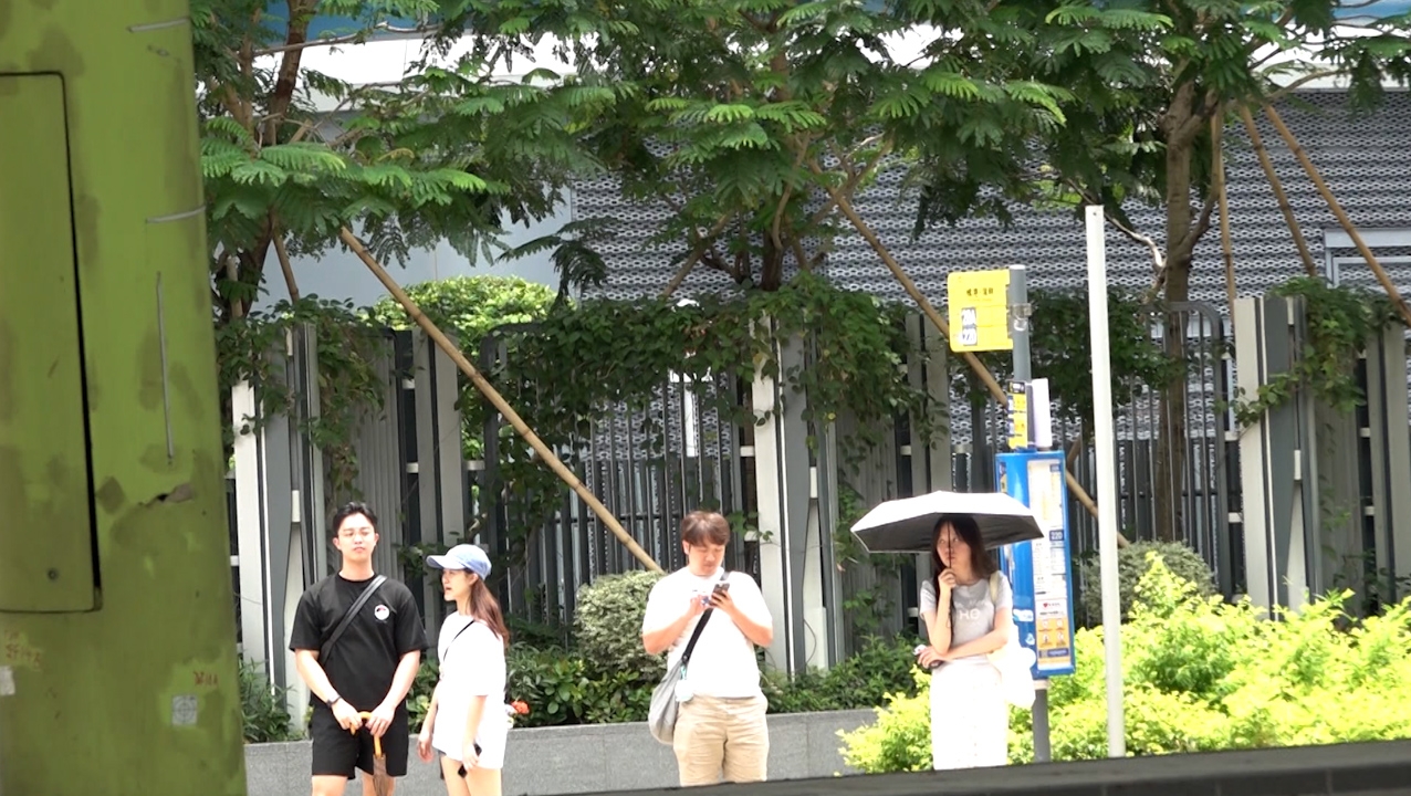 《東張西望》節目組到場了解，發現該豪華巴士站前後及對面馬路的所有巴士站均沒有上蓋。