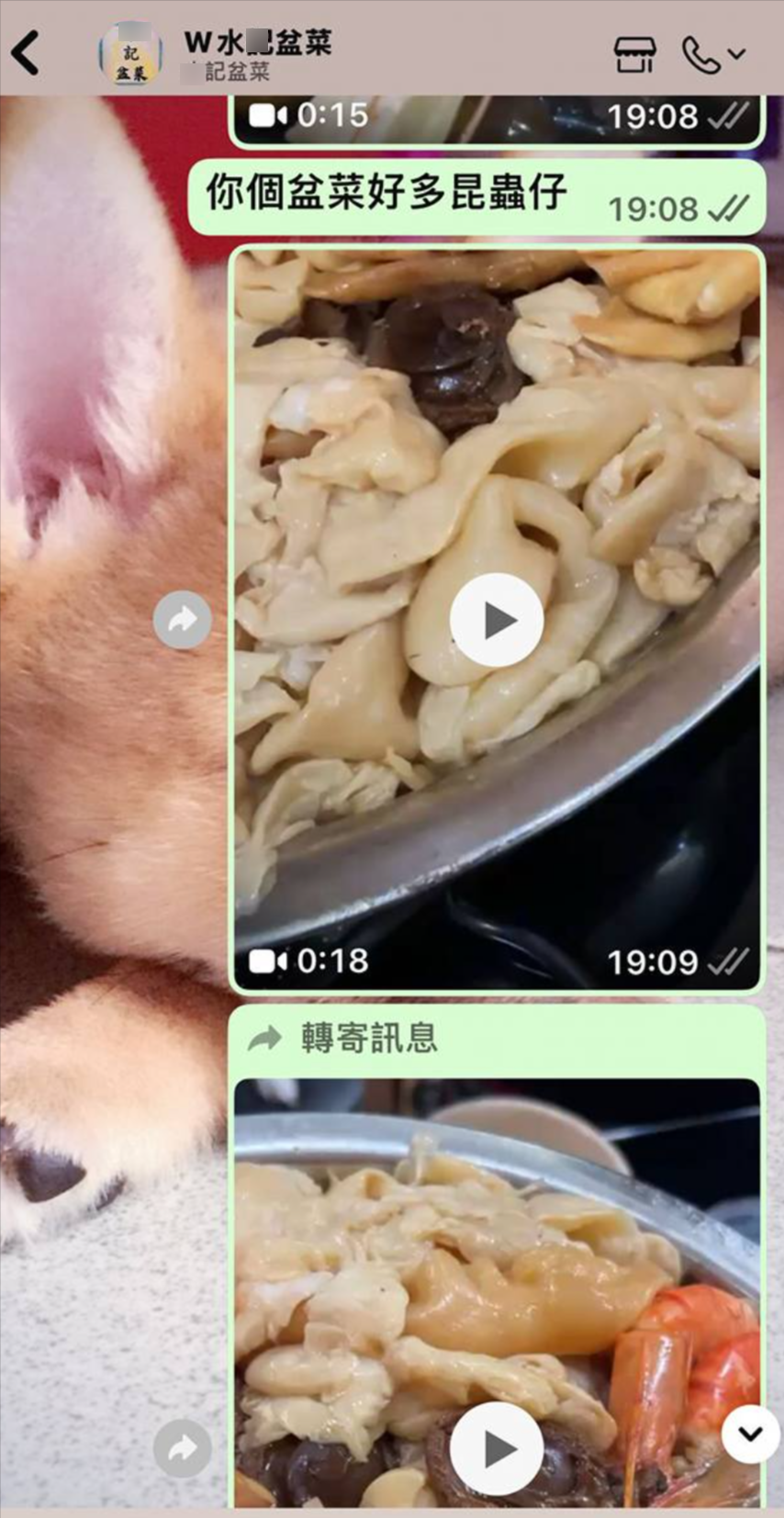 東張西望報料｜新年食盆菜有「加料蛋白質」　苦主：昆蟲多到見到都想嘔