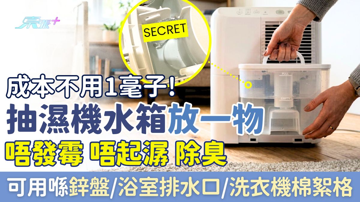 家事常識｜抽濕機水箱放一物唔發霉、唔起潺、除臭 成本不用1毫子！仲可用喺鋅盤排水口