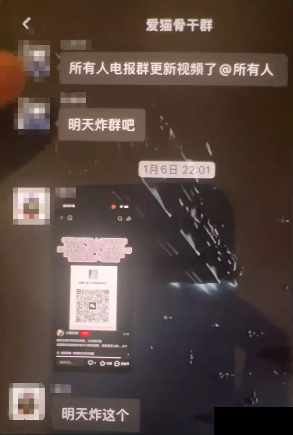 內地多個貓義工及動物救援微信群組突遭不明人士湧入，他們發送大量涉及虐打、焚燒、肢解，甚至性侵貓隻的影片、照片。（網上圖片）