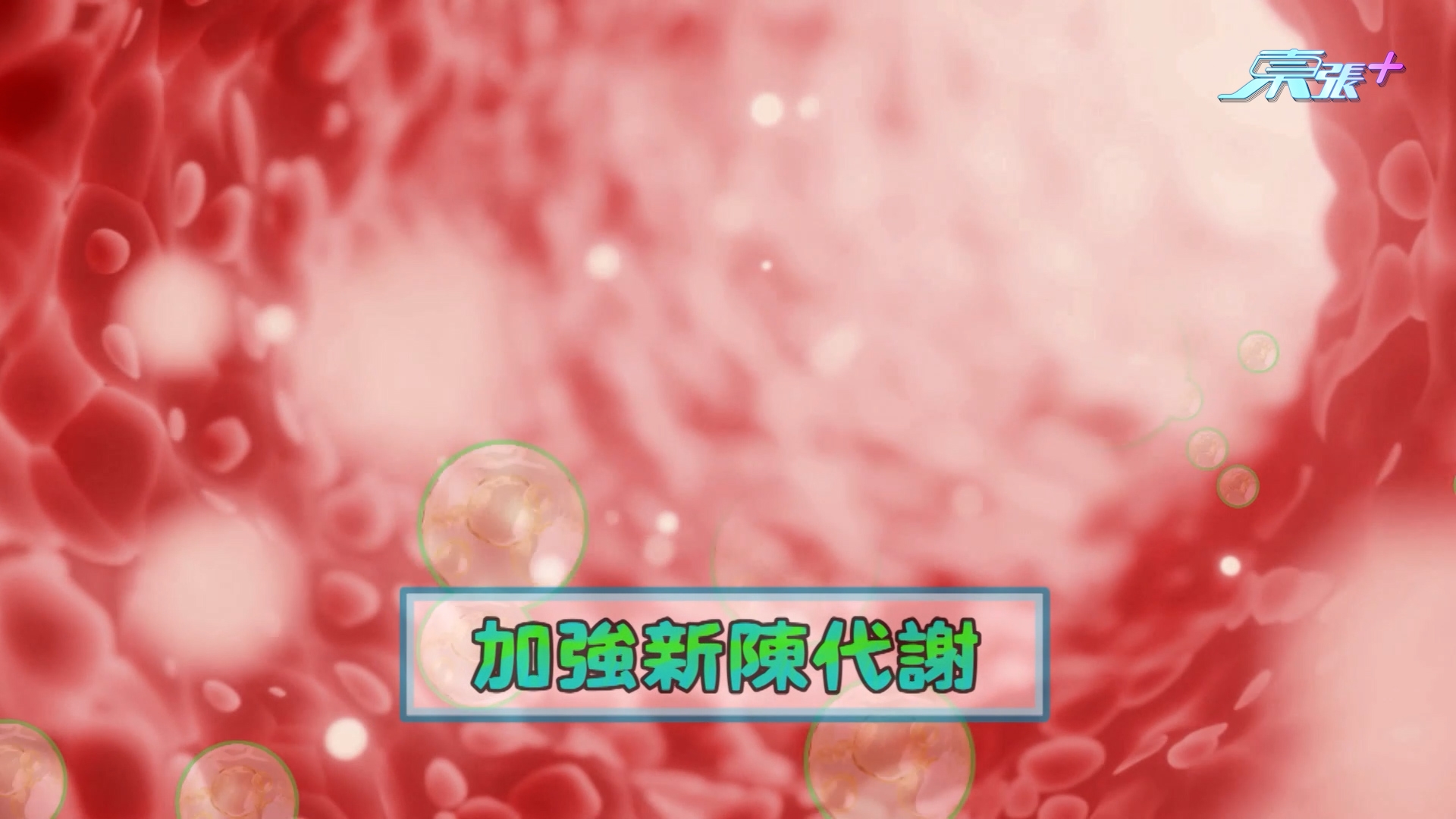 註冊藥劑師Terrence表示，益生菌的確可以幫助修身。他指出，只要補充合適益生菌，例如「比菲德氏菌」，就可以平衡腸道內好菌及壞菌的比例，「可以促進短鏈脂肪酸（SCFA）製造，加強我哋身體嘅代謝，幫助抑制脂肪嘅消化同吸收，可以軟化宿便、排腸毒，更可以減少內臟脂肪嘅積聚。」