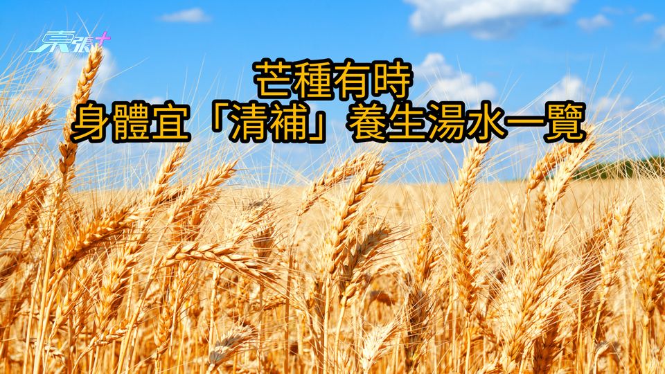 芒種有時 身體宜「清補」養生湯水一覽 