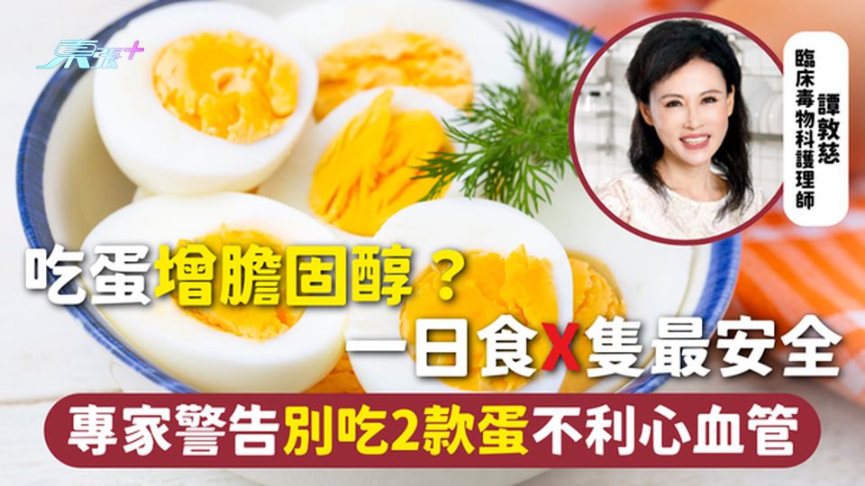 雞蛋 | 吃蛋增膽固醇？ 一日食X隻最安全 專家警告別吃2款蛋不利心血管