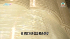 【家居．築則】「綠色」聖誕樹