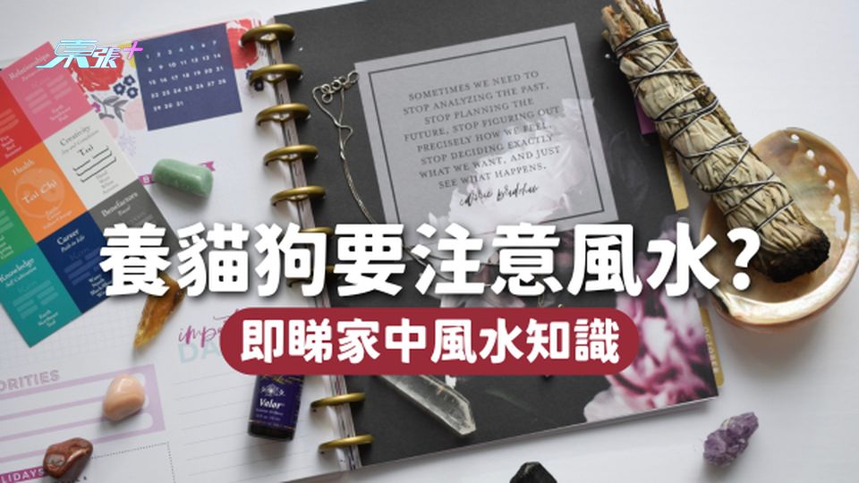 家中養貓狗還要注意風水?一探究竟!