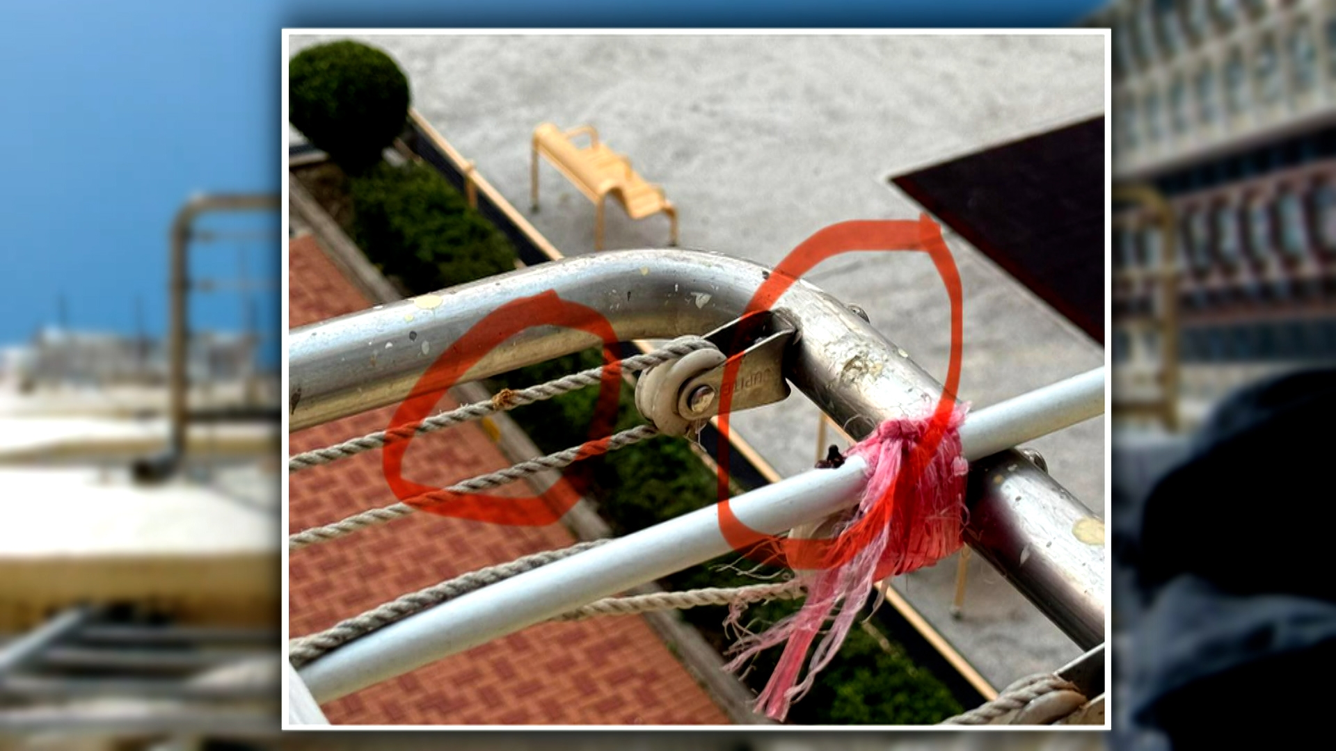 李先生稱，樓上的人會把食物盤放在晾衣架上，引野鳥來進食。他指，鳥糞造成衛生問題，會惹來蒼蠅，也產生異味。