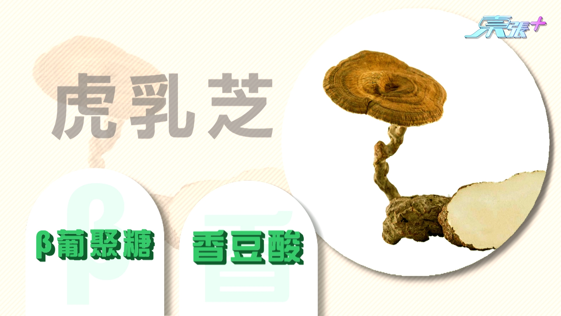 他表示，久咳其實有許多成因，其中包括呼吸道的「黏膜」受損，特別在傷風感冒病後，或者吸入太多致敏源，導致黏膜容易受破壞，變得更容易受到感染，導致持續的咳嗽，最終形成惡性循環。