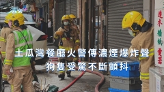 土瓜灣餐廳火警傳濃煙爆炸聲 狗隻受驚不斷顫抖