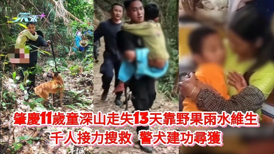 肇慶11歲童深山走失13天靠野果雨水維生 千人接力搜救 警犬建功尋獲