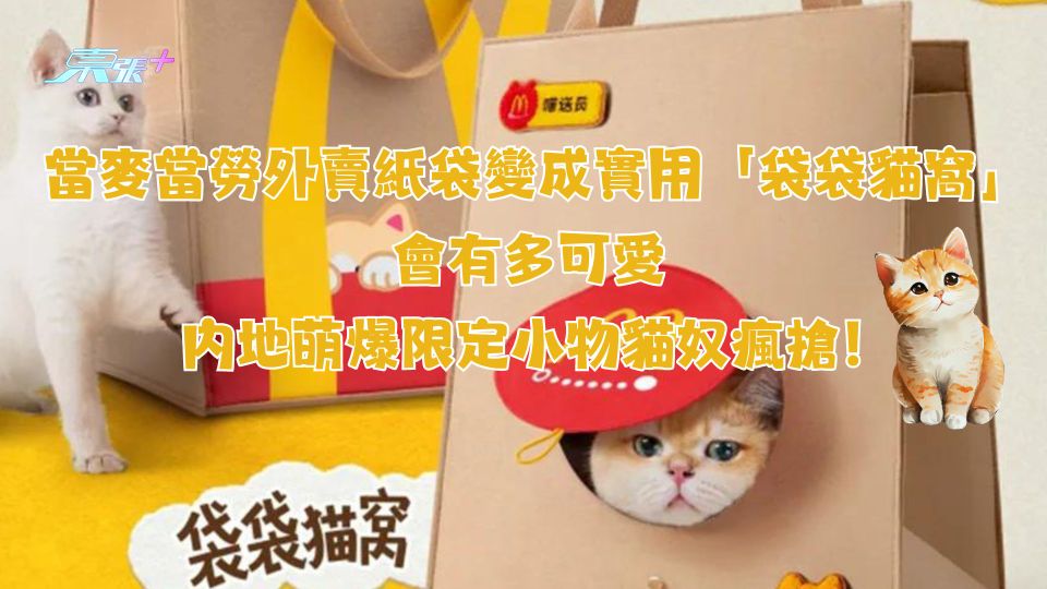 當麥當勞外賣紙袋變成實用「袋袋貓窩」會有多可愛 內地萌爆限定小物貓奴瘋搶！