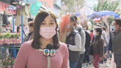 [現場]旺角花墟人流多 有店主稱蘭花及「兔仔花」最受歡迎