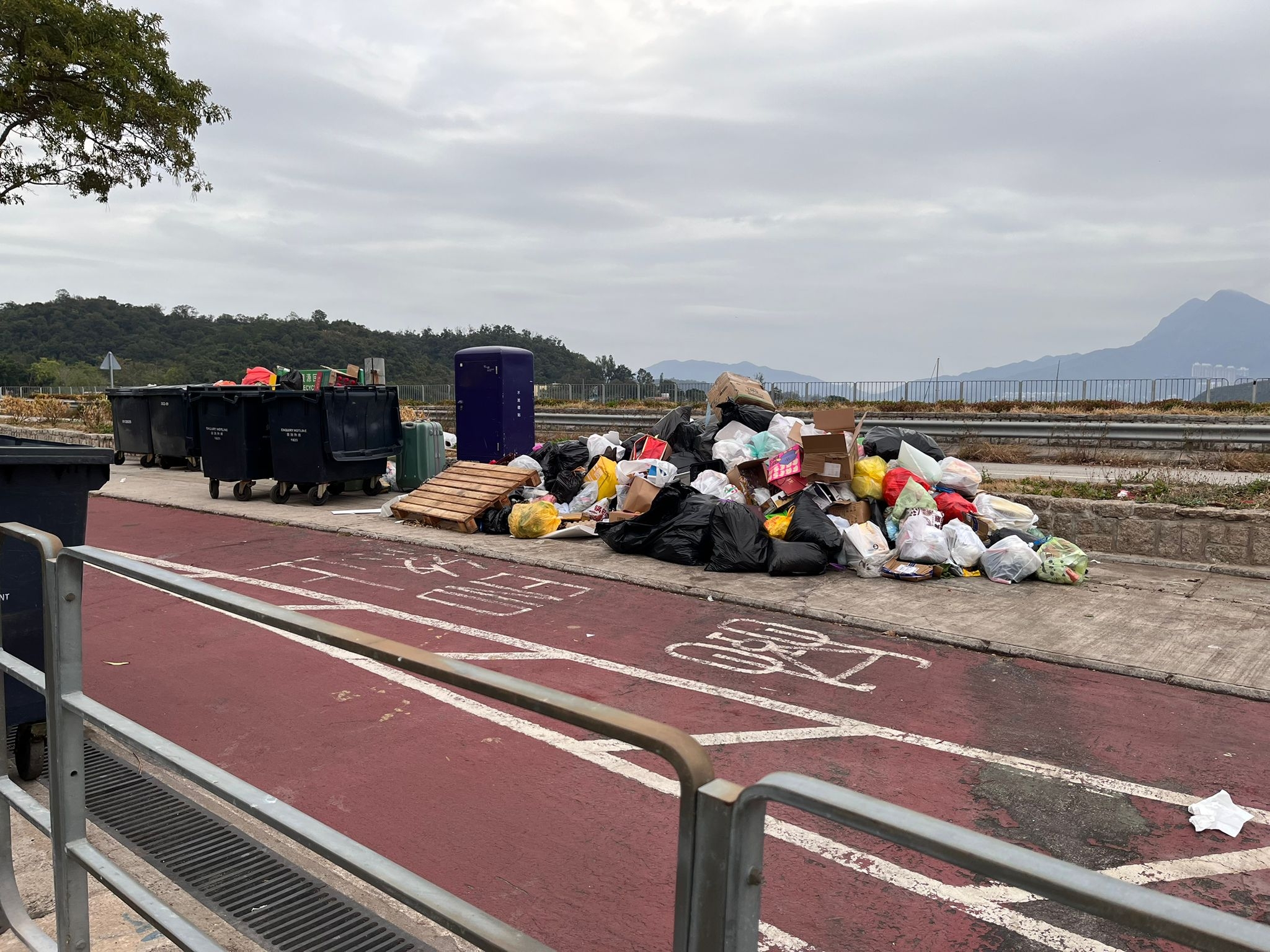 在大埔龍尾村，垃圾被放置在行人路再收集。（報料觀眾提供圖片）