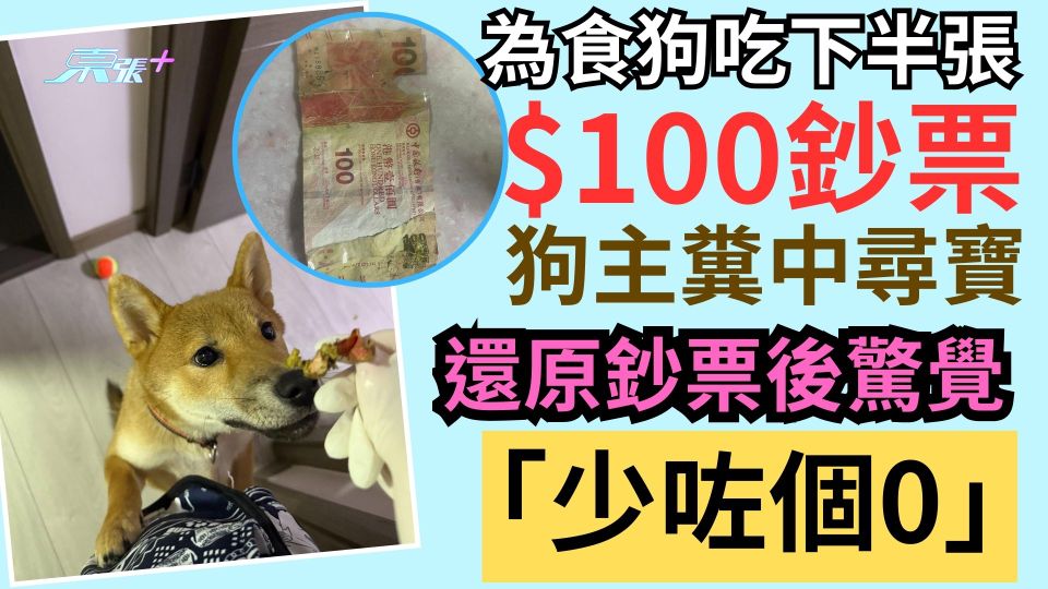 為食狗吃下半張$100鈔票狗主糞中尋寶  還原鈔票後驚覺「少咗個0」 