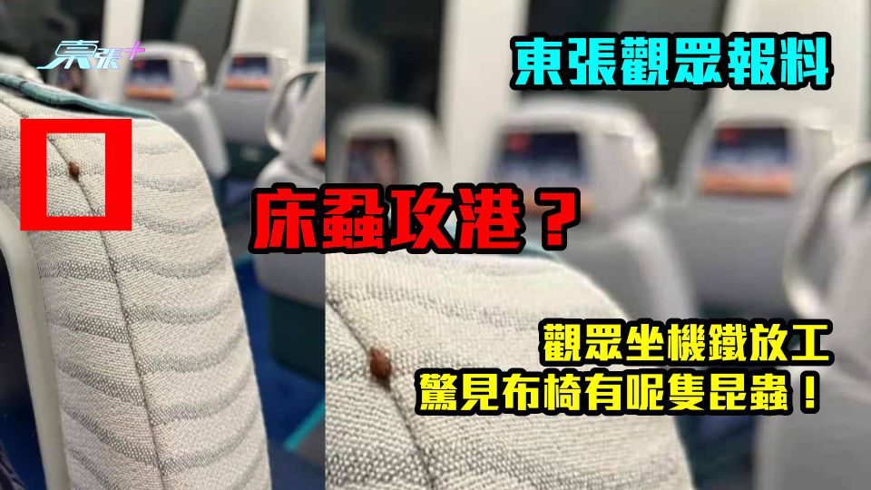 床蝨攻港？東張觀眾報料：坐機鐵放工驚見布椅上有「佢」 港鐵：即高溫清潔