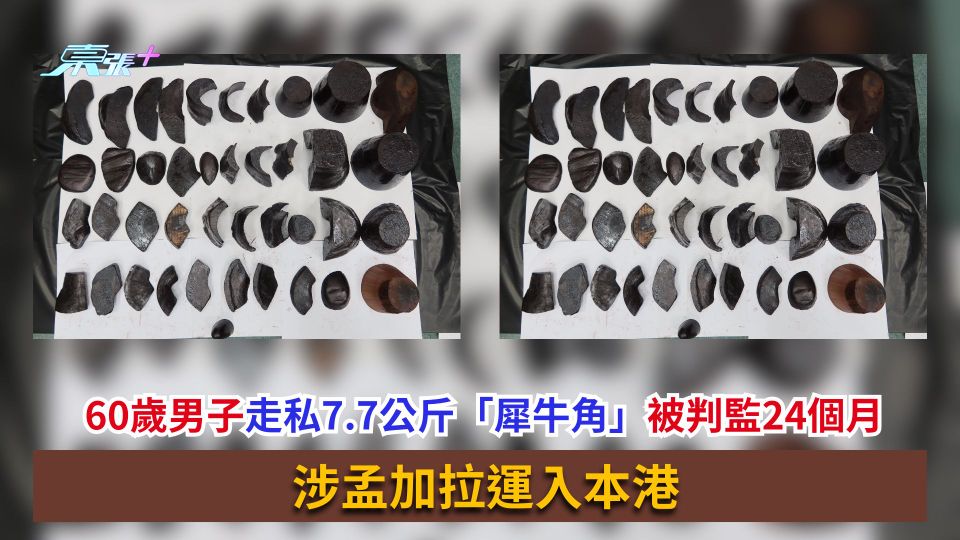 60歲男子走私7.7公斤「犀牛角」被判監24個月　涉孟加拉運入本港