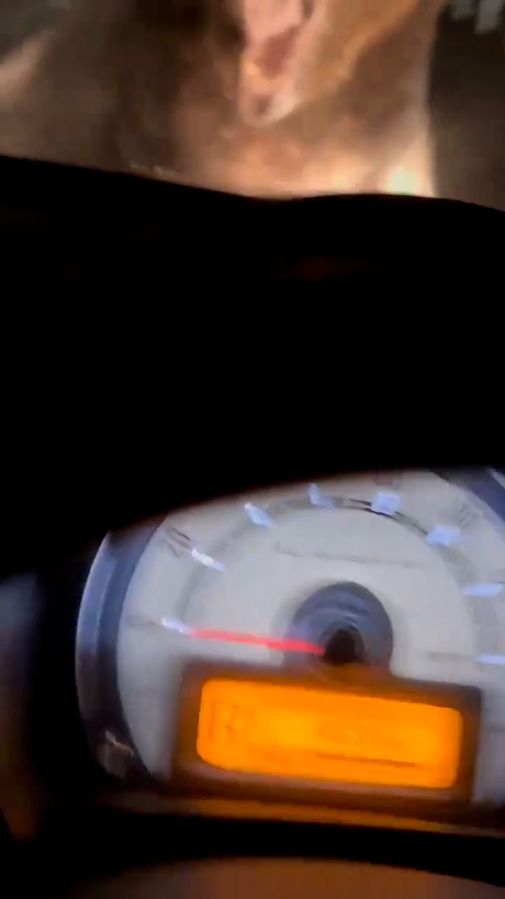 工作人員駕車時遇上野熊，野熊往車輛直衝，再撲向車頭，出現明顯的碰撞聲，野熊同時亦發出吼聲。（桑田牧場影片截圖）