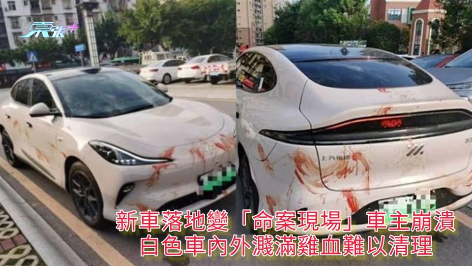 新車落地變「命案現場」車主崩潰 白色車內外濺滿雞血難以清理