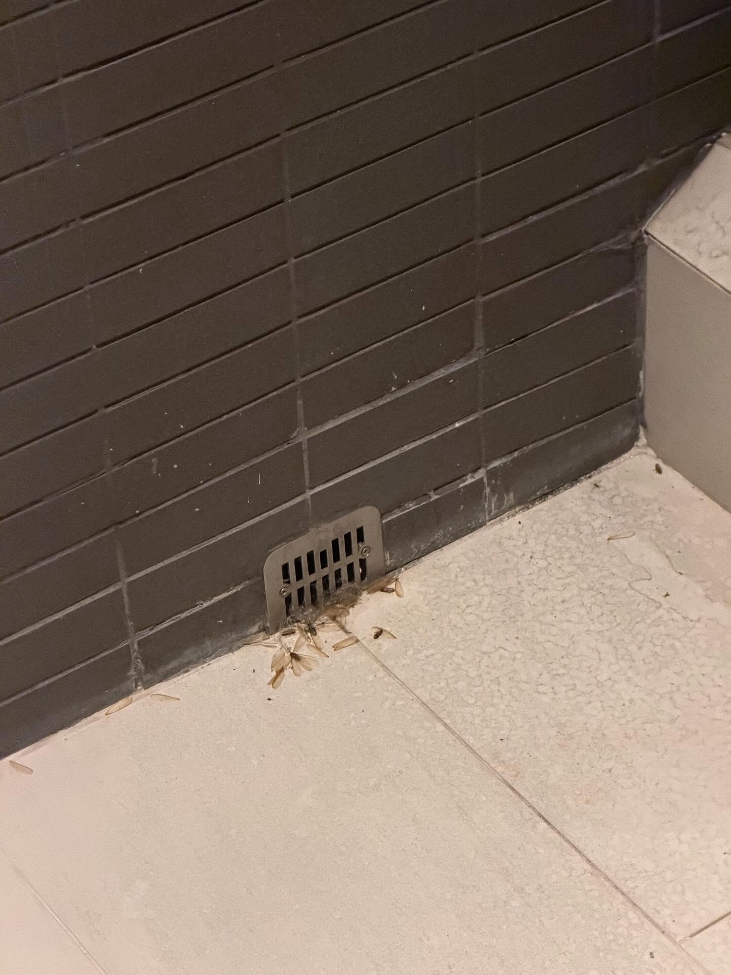 Photo by 💖𝐂𝐑𝐘𝐒𝐓𝐀𝐋 on May 10, 2026. May be an image of cockroach, socket and text.