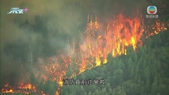 美國加州中部山火失控發疏散令 火場面積逾1740公頃