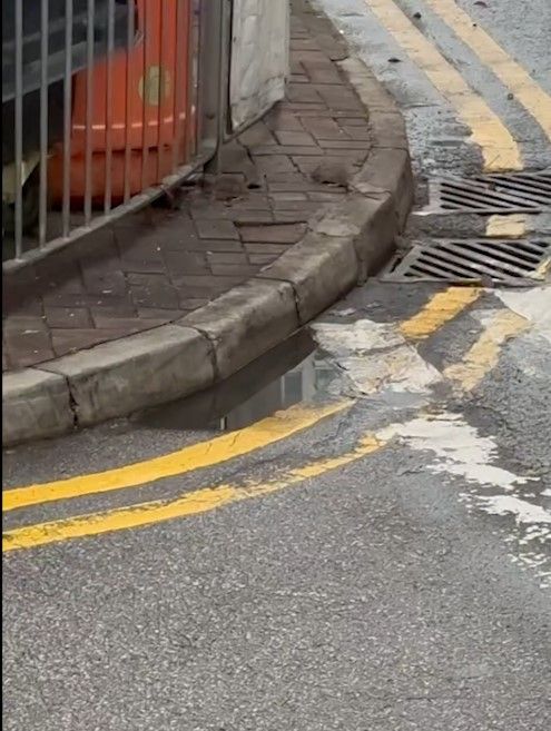 大埔街頭驚變「迪士尼樂園」嚇怕街坊