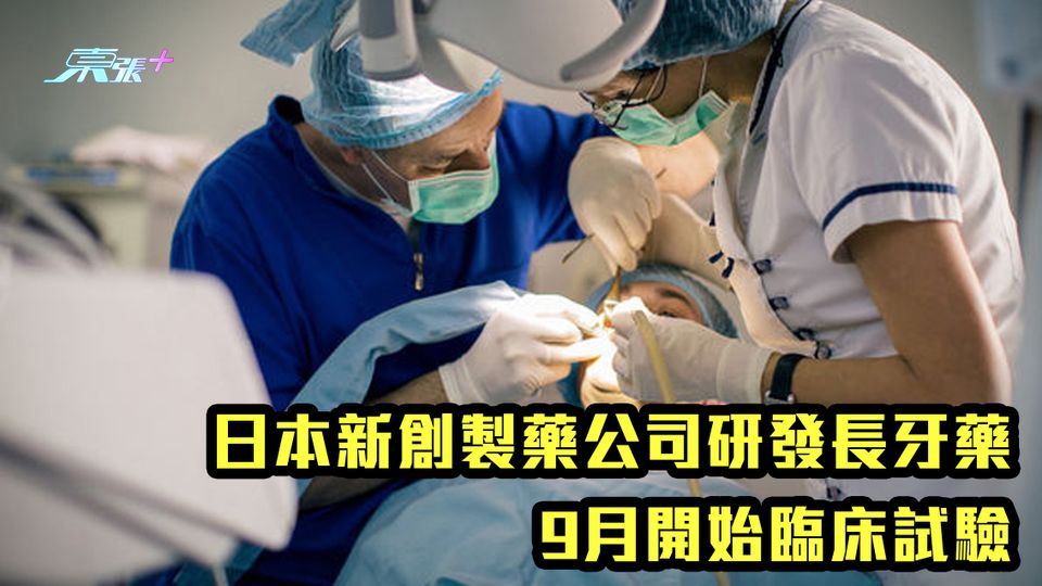 日本新創製藥公司研發長牙藥 9月開始臨床試驗