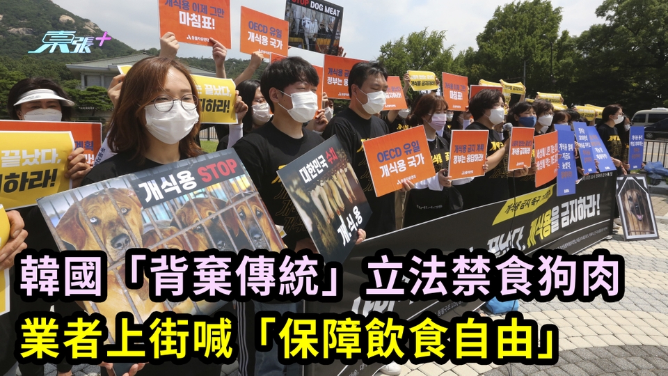 韓國「背棄傳統」立法禁食狗肉 業者上街喊「保障飲食自由」