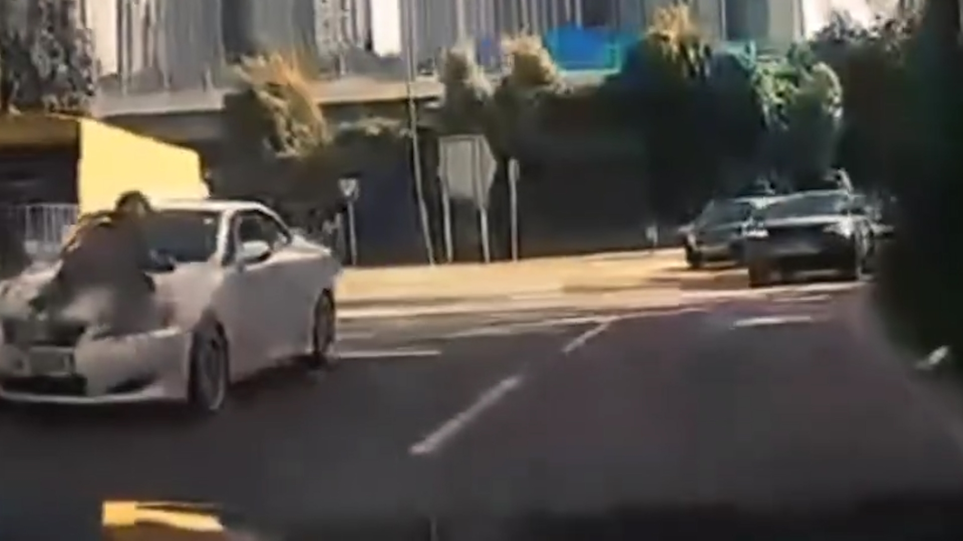 車Cam直擊｜粉錦公路黑衣人伏車頭擋玻璃　私家車狂飆如「狂野時速」