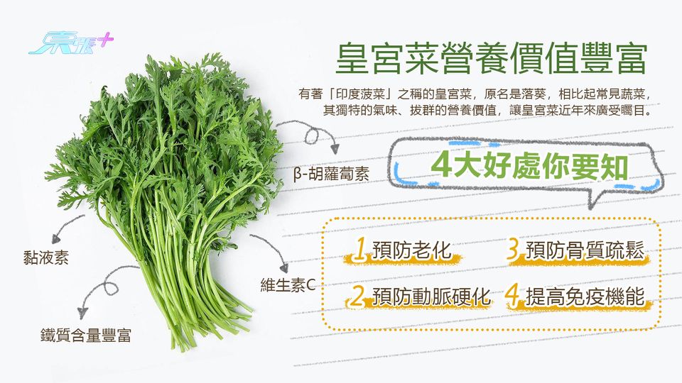 皇宮菜營養價值豐富 4大好處你要知