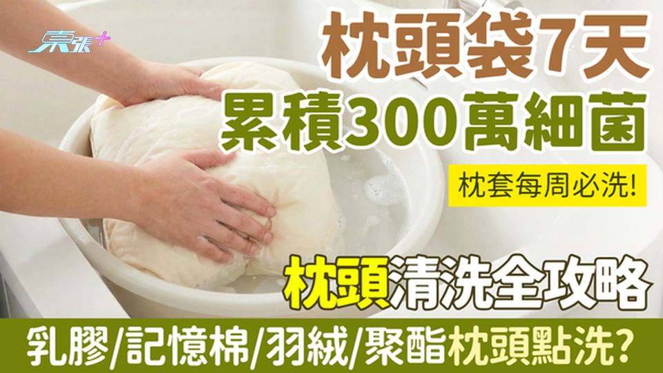 家事常識｜枕頭袋7天累積300萬細菌！枕套每週必洗 乳膠/記憶棉/羽絨/聚酯枕頭清潔全攻略