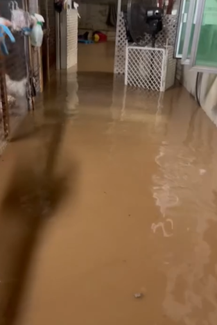 暴雨｜黑雨下狗場受災動物家所全被水浸　負責人緊急救狗：拯救中
