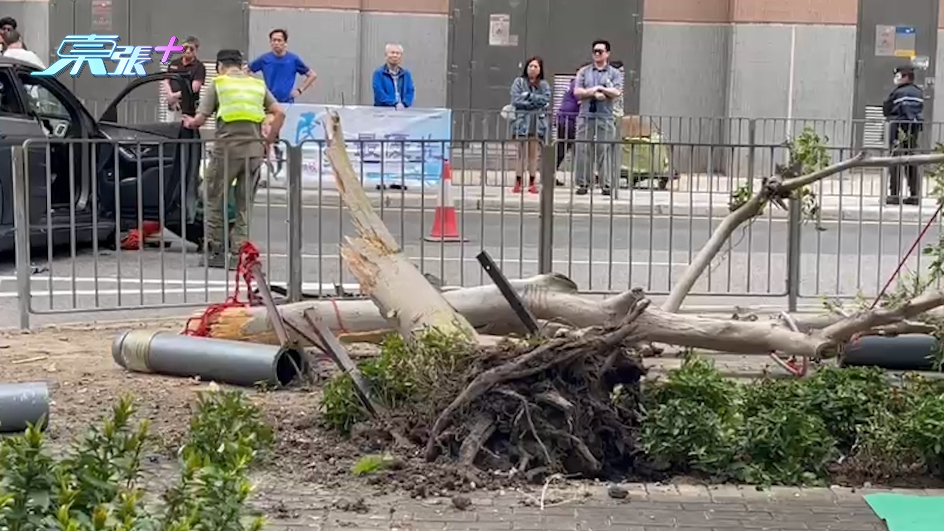 東張+現場直擊｜九龍灣中港牌平治電動車失事撞9人　75歲司機疑「油門當煞掣」 (東張西望拍攝)