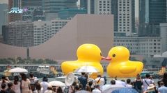巨型黃色橡皮鴨維港暢泳 準備就緒明天正式登場