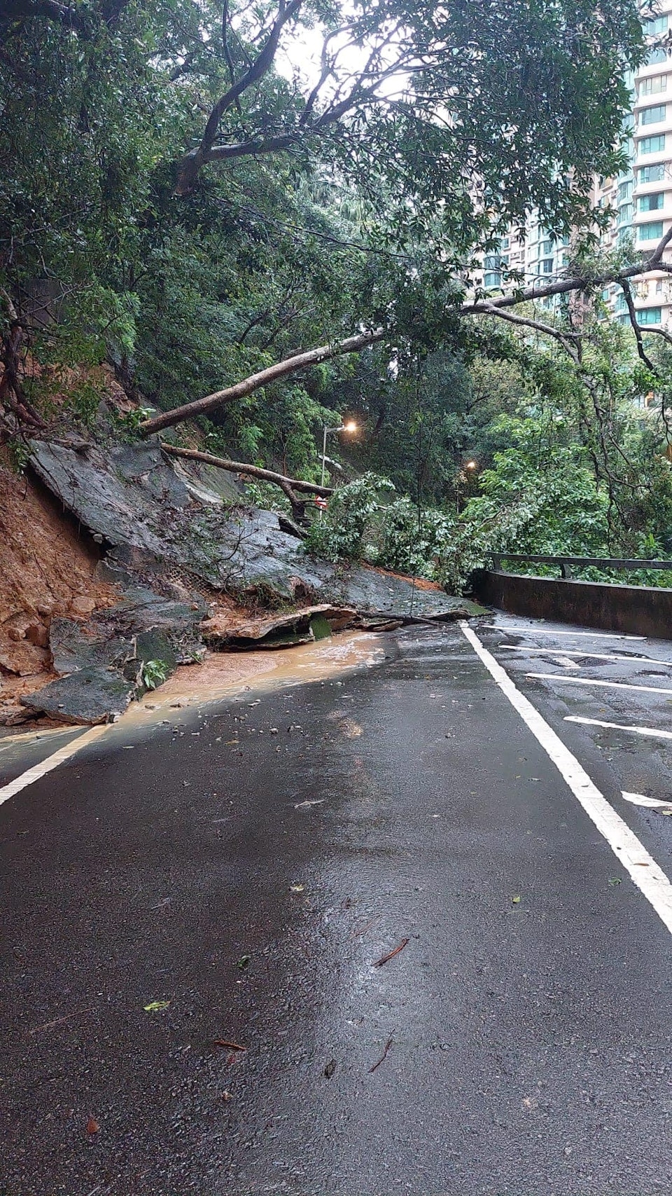 在中半山地利根德閣，有樹木與大幅護土牆塌在馬路中間，亦有大量泥土及石頭從斜坡墮下。（Geo Channel 土力場 Facebook）