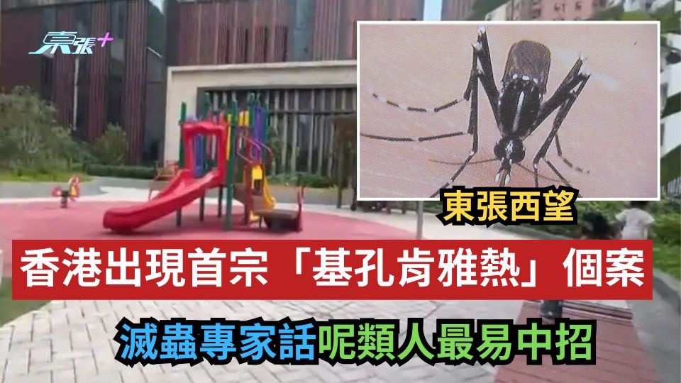 東張西望｜香港出現首宗「基孔肯雅熱」人心惶惶　滅蟲專家話呢類人最易中招