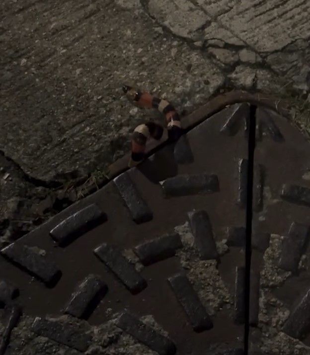 荃灣街頭驚現蛇蹤影！