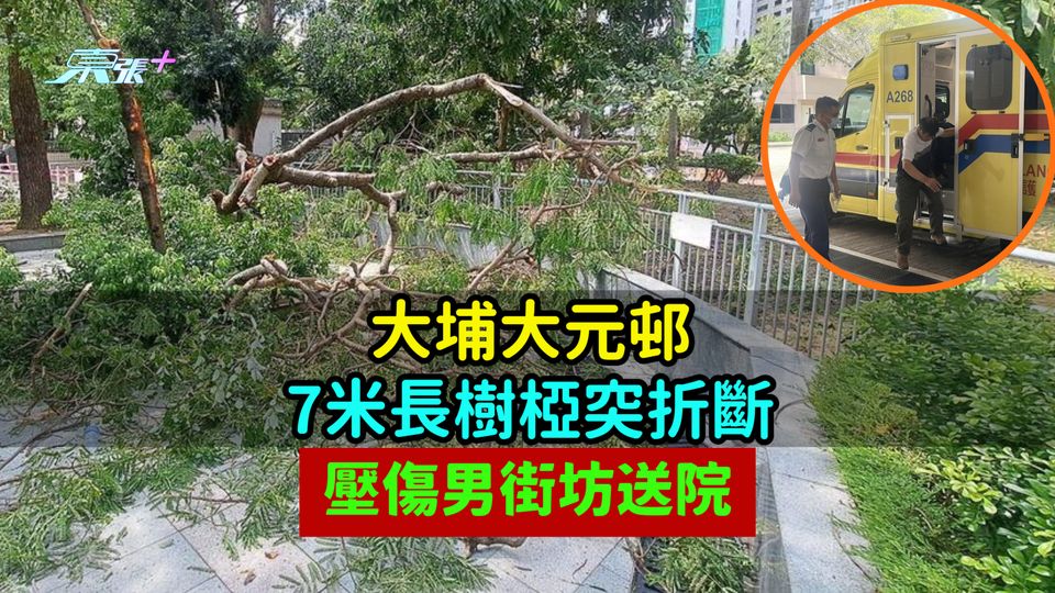 大埔大元邨7米長樹椏突折斷  壓傷男街坊送院