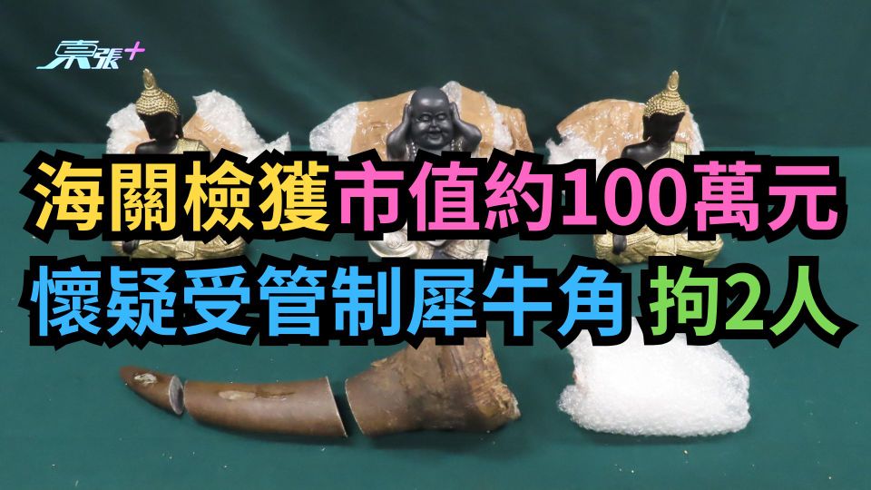 海關檢獲市值約100萬元懷疑受管制犀牛角　拘2人