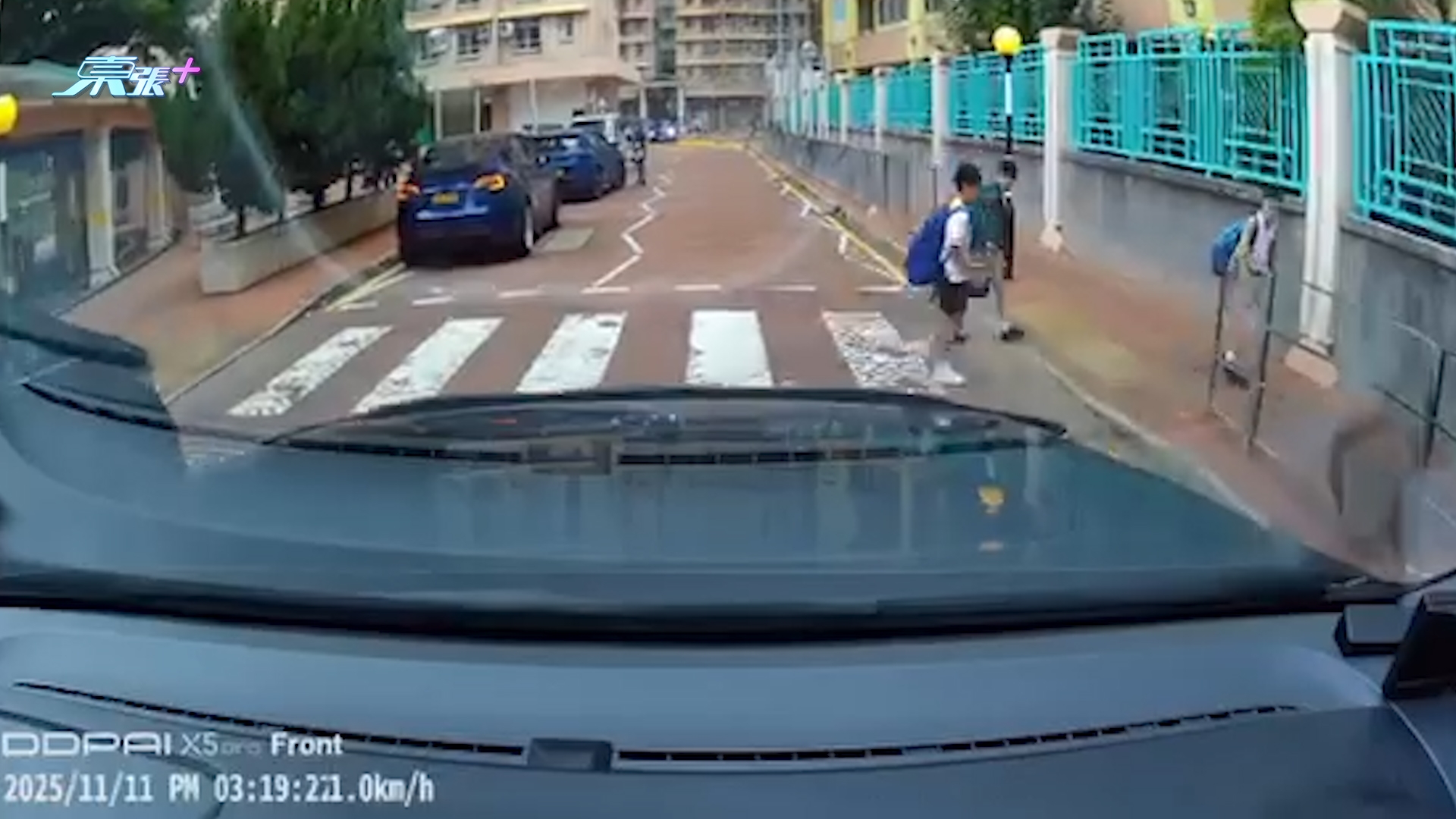 車Cam直擊｜小學生過斑馬線後「鞠躬多謝」　司機大讚：值得表揚