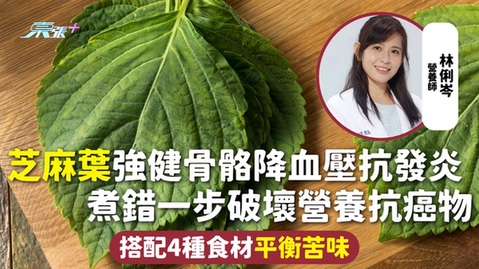 芝麻葉 | 強健骨骼降血壓抗發炎 煮錯一步破壞營養抗癌物 搭配4種食材平衡苦味